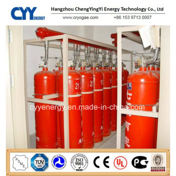 Cilindro de gas de CO2 de acero inoxidable sin soldadura con diferentes capacidades